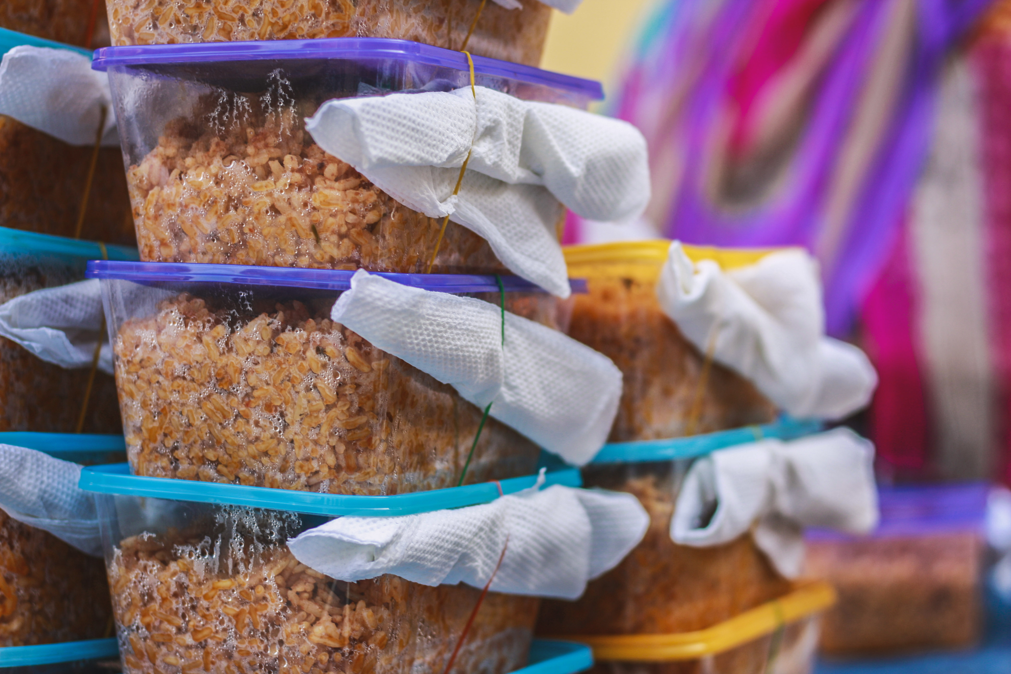 Yuletide Outreach 2019